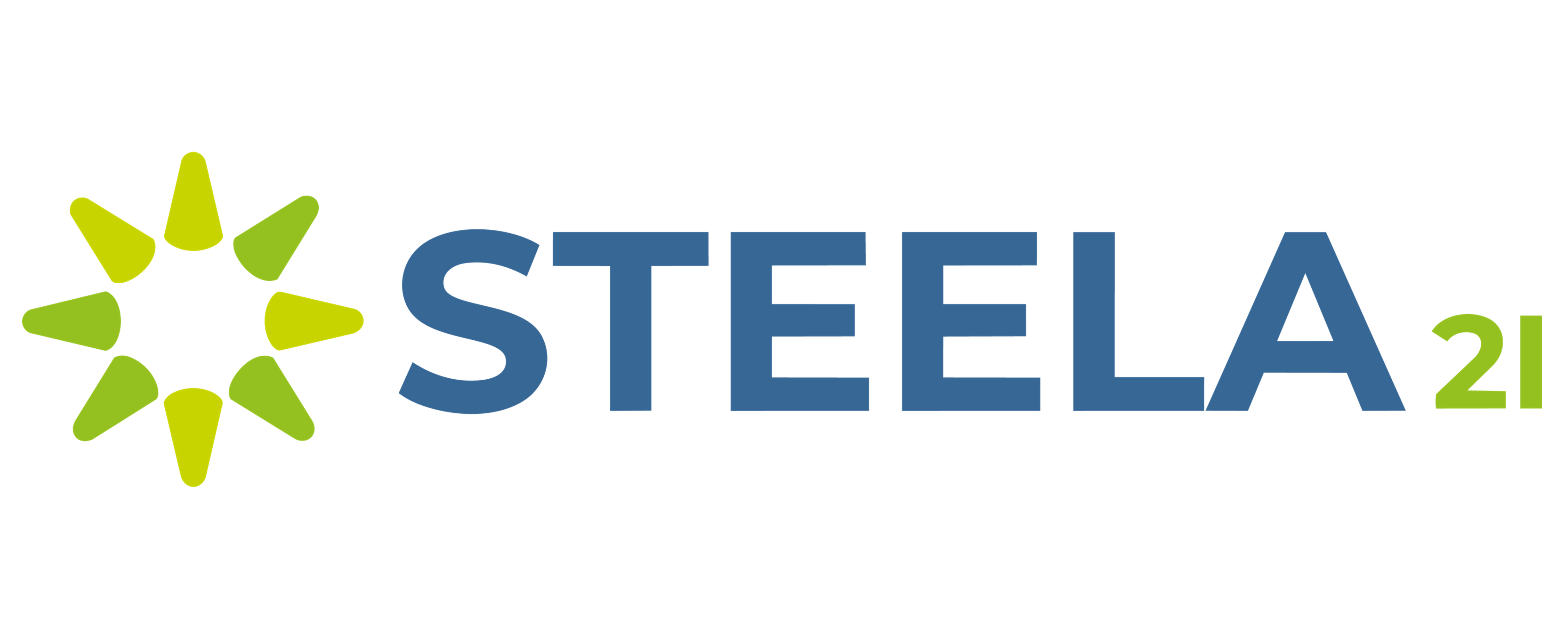 Logo STEELA 2I